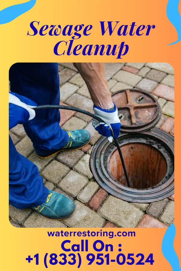 Sewage Water Cleanup in Flagler Estates, FL